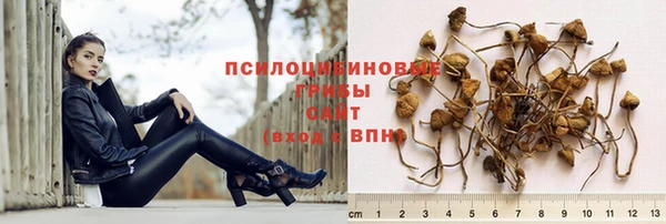 каннабис Покачи